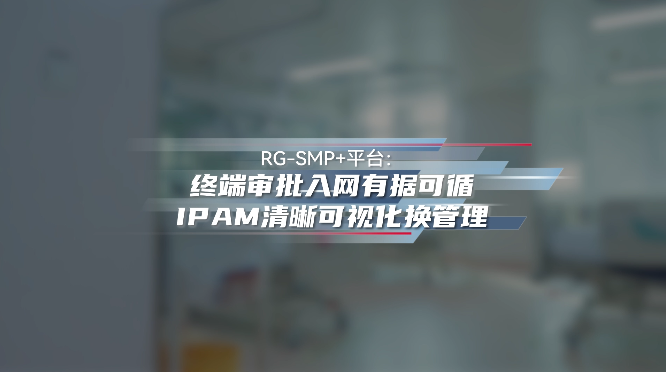 SMP+：终端审批入网有据可循，IPAM清晰可视化换管理